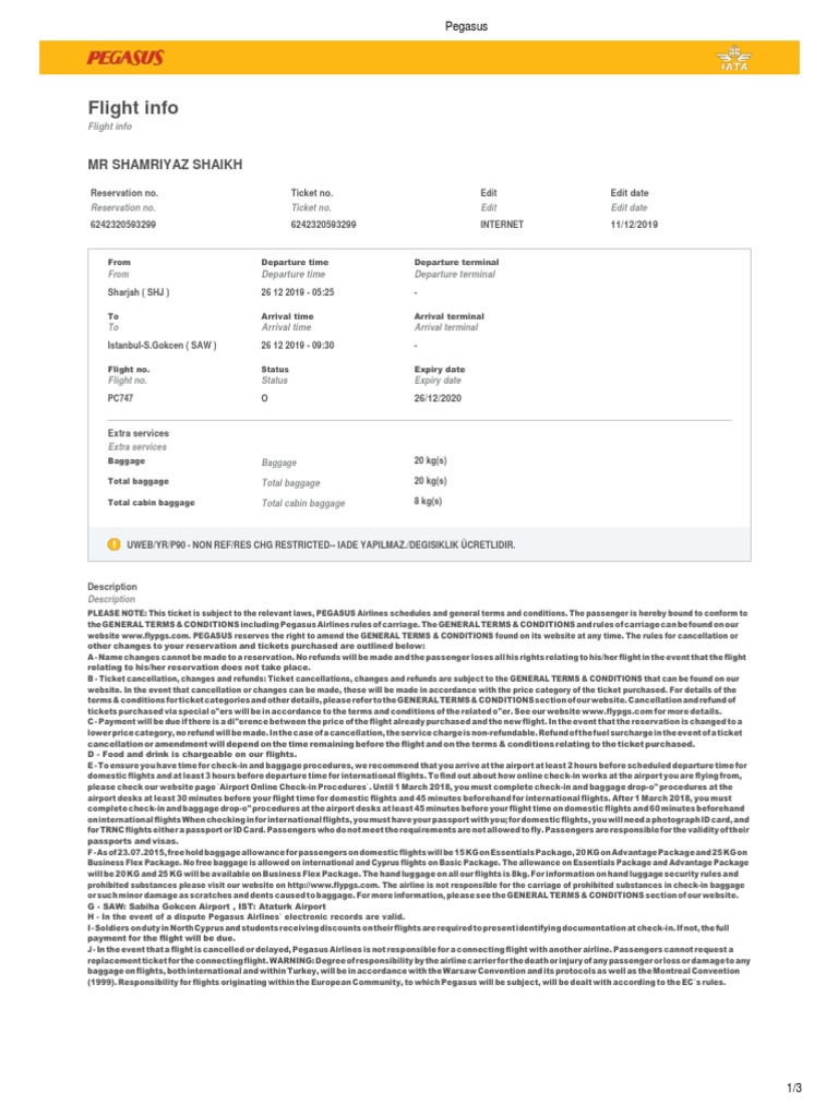 Pegasus DX Bout PDF Baggage Airport