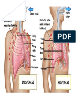 jaringan tubuh manusia.docx