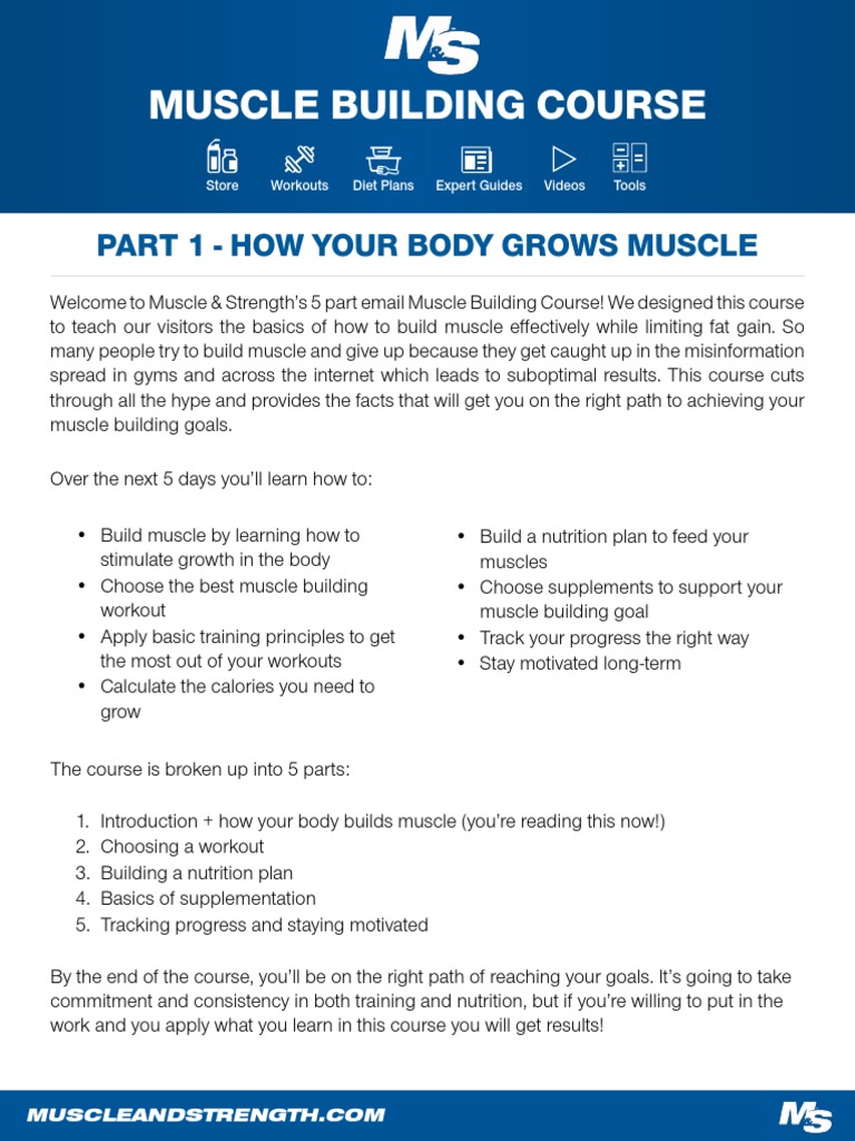 Muscle Building Course Overview | PDF | Weight Training | Muscle