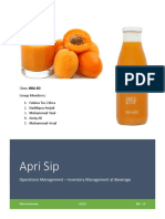 Apri Sip - OPM - Final Report PDF