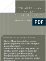 Anatomi-Fisiologi Sistem Muskuloskeletal