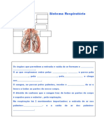 3º ano-sistema_respiratorio (1).doc
