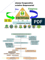 Organización Cecovasa