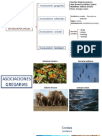 Asociaciones ecológicas en poblaciones