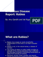 rabies.ppt