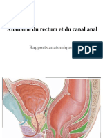 Anatomie du rectum et du canal anal