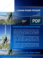 Pasir Pesisir