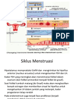 Siklus Menstruasi