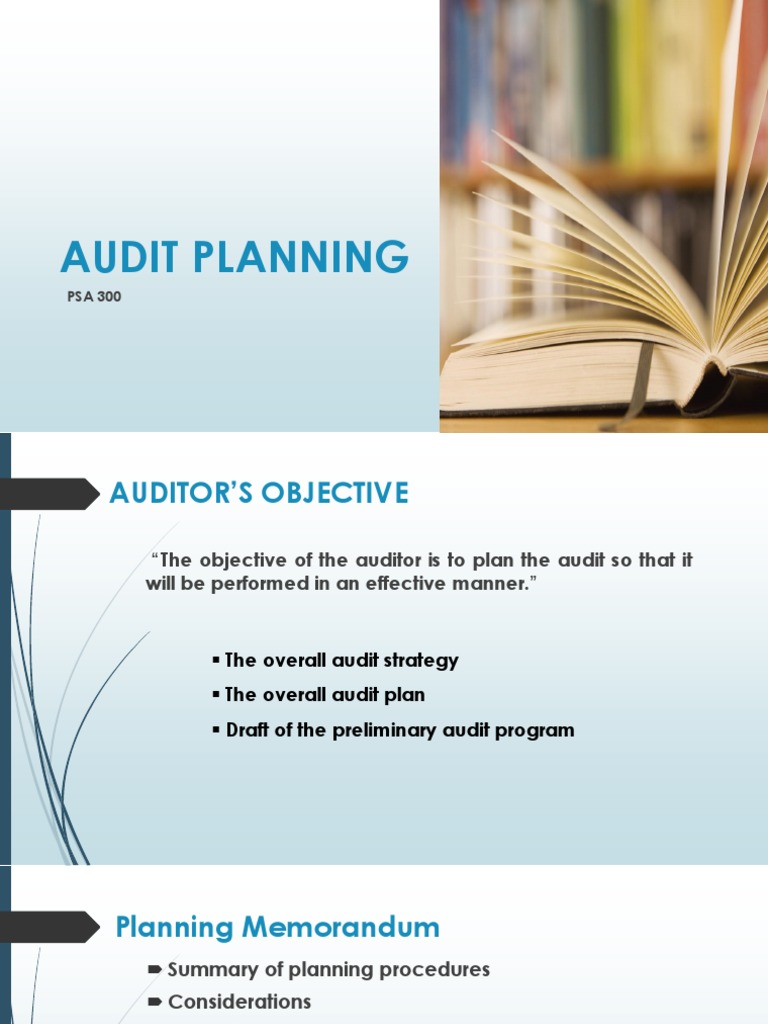Audit Planning | PDF | Internal Control | Service Industries