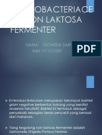 OPTIMALKAN  UNTUK ENTEROBACTERIACEAE NON LAKTOSA FERMENTER