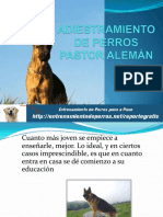 68310962-ADIESTRAMIENTO-DE-PERROS-PASTOR-ALEMAN.pdf