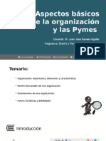 1 Aspectos Básicos de La Organización y Las Pymes