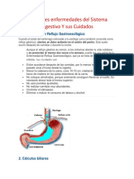 Principales Enfermedades Del Sistema Digestivo 7°1