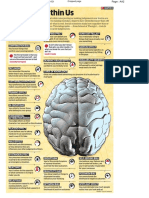 Behavioral Finance in A Nutshell