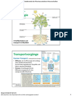 (Thieme) - Mortimer PDF