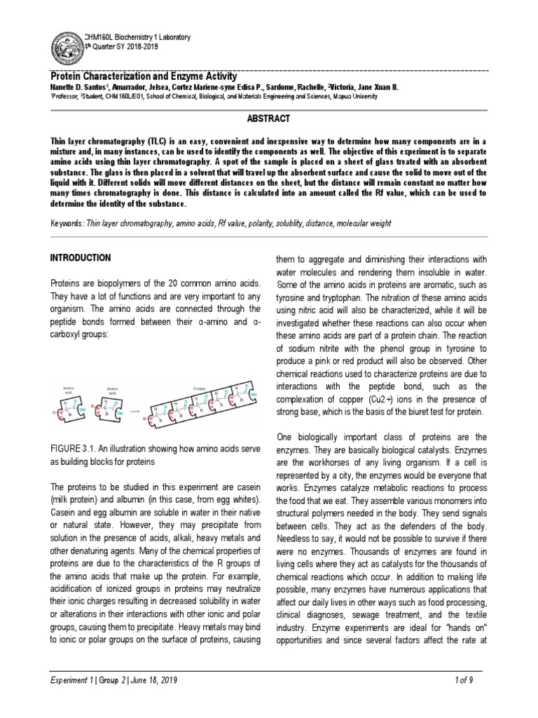 Lab Report 3 PDF Denaturation (Biochemistry) Protein Structure