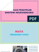 209 - Kompilasi Praktikum Anatomi Neurosensori New Fixxxxx Blok 15 Coccyx