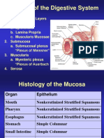Histology of The Digestive System