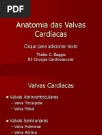Anatomia Das Valvas Cardíacas