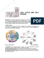 Cell Division PDF
