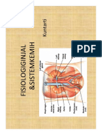 Fisiologiginjalberkemih