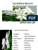 Dorkas HokeLiba (Simplisia Bunga Melati)