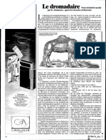 Le dromadaire - nouvel intérêt suscité par le chameau, après les récentes sécheresses.pdf