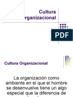 Cultura Organizacional