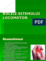 Bolile Sistemului Locomotor