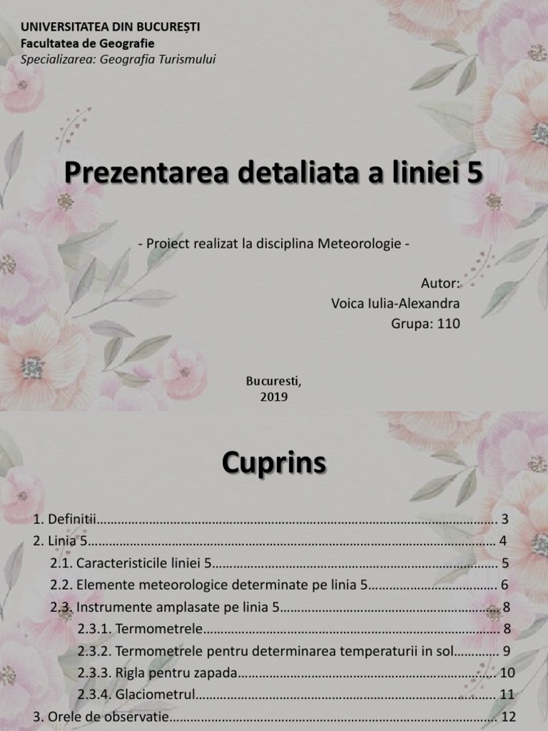 Prezentarea Liniei 5 | PDF
