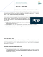 Tema 7B-Bloque I-Replicacion.pdf