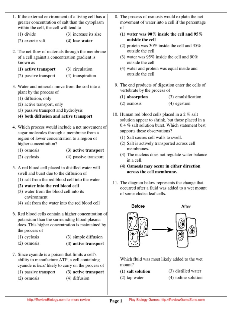 Regents Practice Questions Topic Vise PDF Osmosis Cell (Biology)