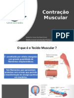 Contração muscular: mecanismos e tipos