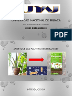 Ciclos biogeoquímicos esenciales