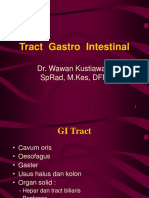 Tract Gastro Intestinal
