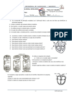 Ficha biologia 10_transporte-nos animais.pdf