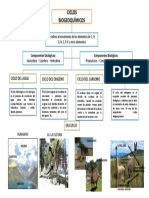 Ciclos Biogeoquimicos