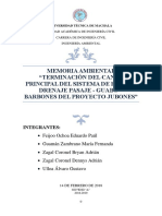 Memoria Ambiental Terminación Del Canal Principal Del Sistema de Riego y Drenaje Pasaje 3 (2)