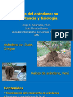 Raices Del Arandano - Su Importancia y Fisiologia - PhD. Jorge Retamales