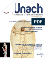 Clase Practica # Unach 2019 Musculos de Antebrazo y Mano NOVIEMBRE