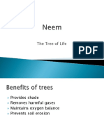 Neem Presentation