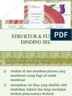 3.dinding Sel