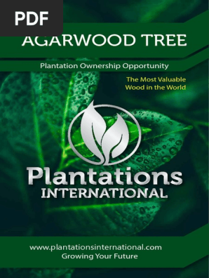 Agarwood Myr My01 Pdf Diversification Finance Plantation
