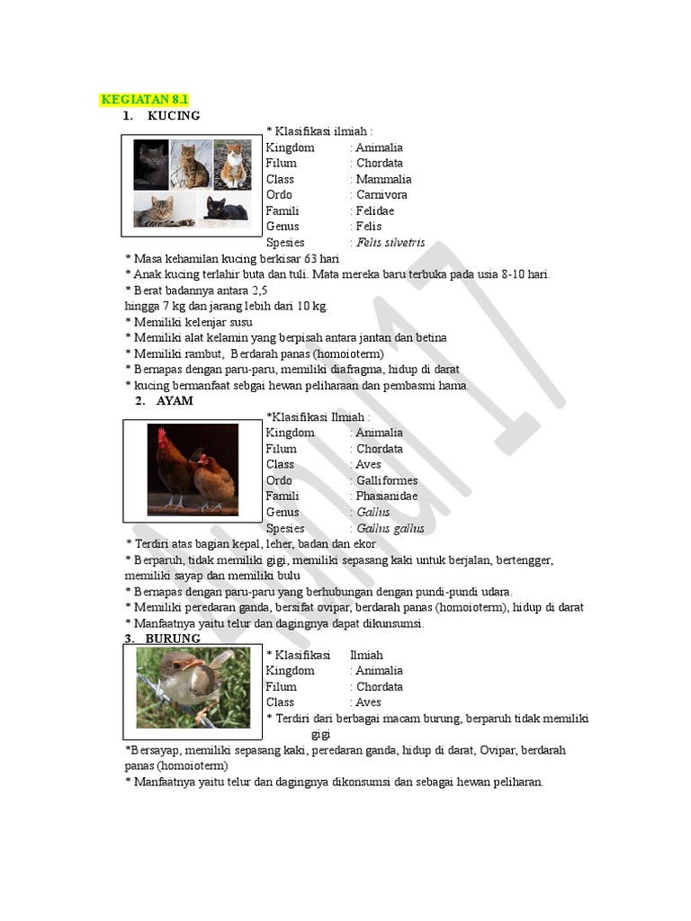 Kegiatan 8 1 Pdf