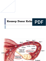 Konsep Dasar Kehamilan