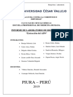 Extracción ADN cebolla y hígado pollo