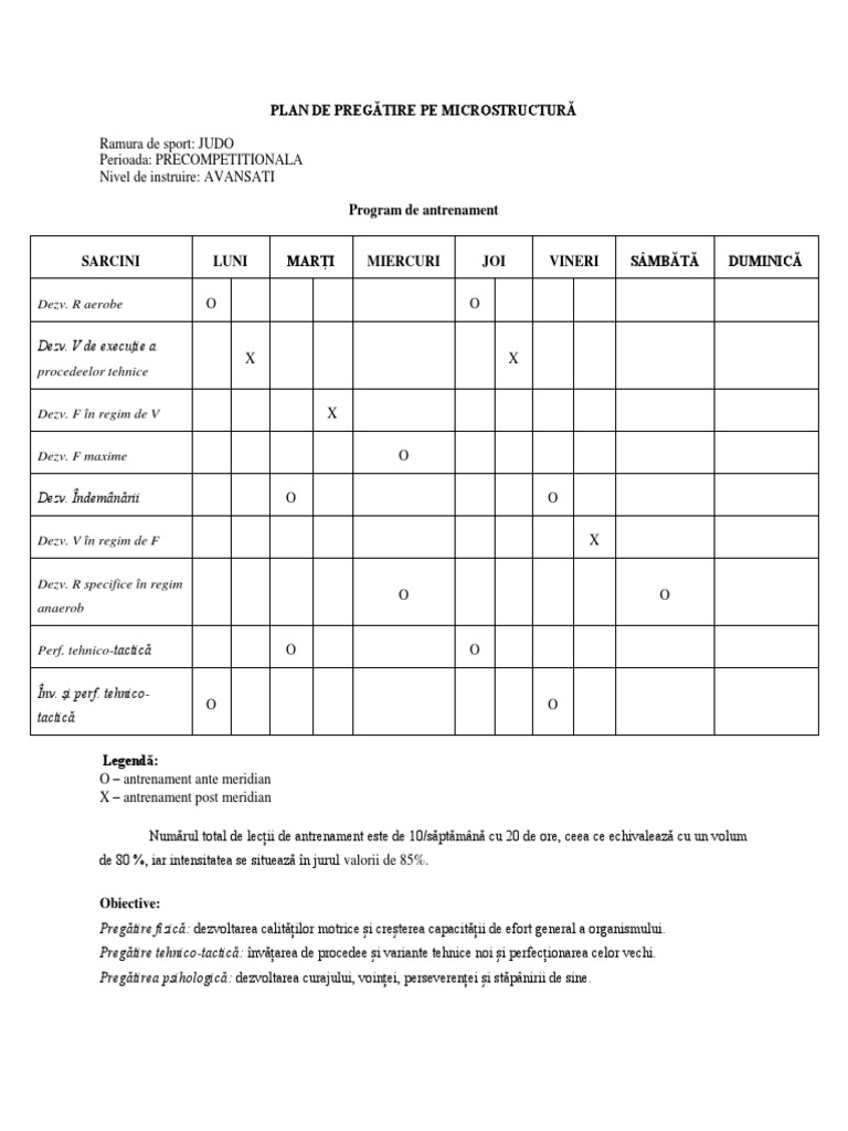 MICROCICLU | PDF