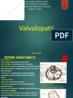 Valvulopatii Functional