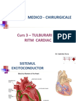 C3 - Tulburari de Ritm Cardiac