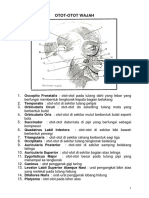 Isometrik PDF